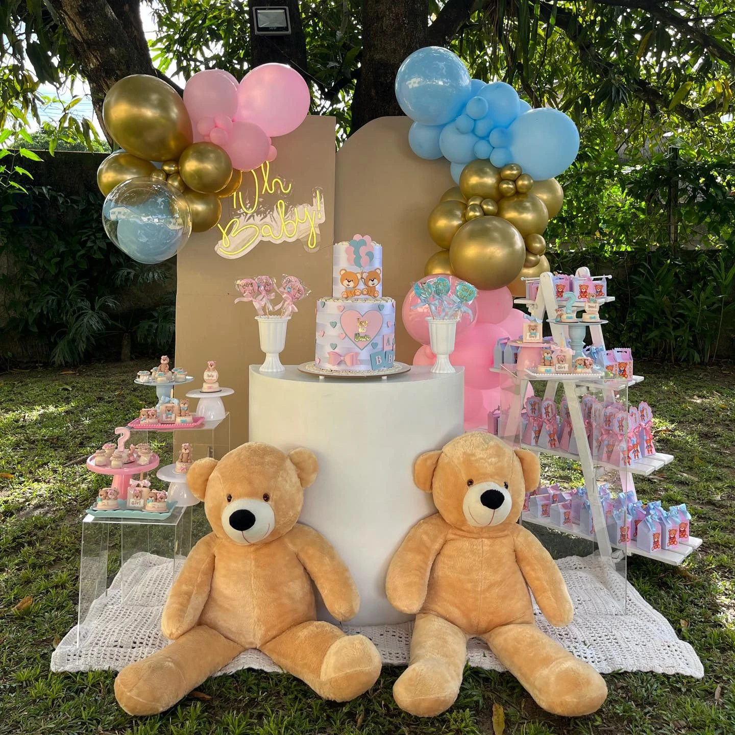 Chá revelação ao ar livre com ursinhos, balões rosa e azul e mesas de doces no jardim.